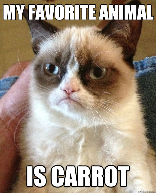 My Favorite Animal Is Carrot  Grumpy Cat