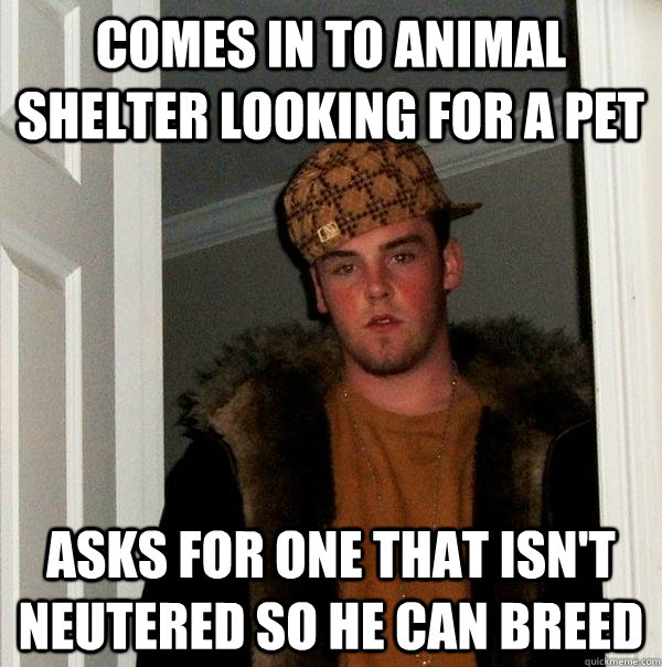 Comes in to animal shelter looking for a pet asks for one that isn't neutered so he can breed - Comes in to animal shelter looking for a pet asks for one that isn't neutered so he can breed  Scumbag Steve