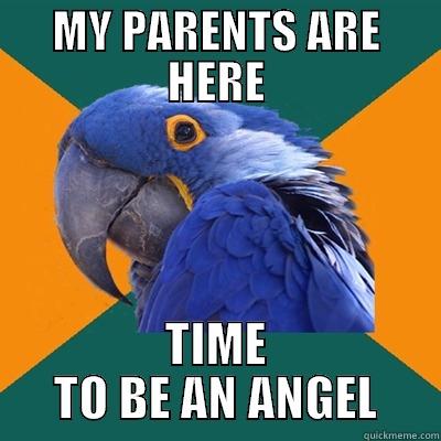 MY PARENTS ARE HERE TIME TO BE AN ANGEL Paranoid Parrot