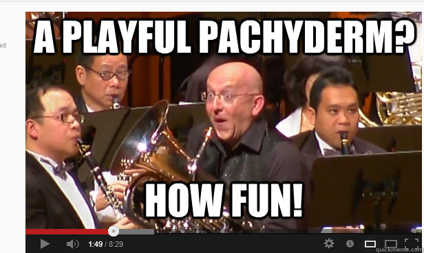 A playful pachyderm? how fun! - A playful pachyderm? how fun!  steven mead