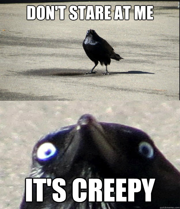 don't stare at me it's creepy  Insanity Crow