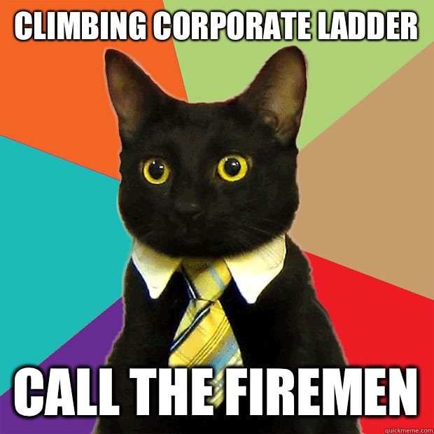 Climbing corporate ladder Call the firemen  Business Cat