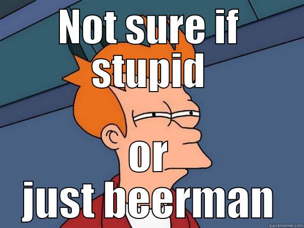 NOT SURE IF STUPID OR JUST BEERMAN Futurama Fry