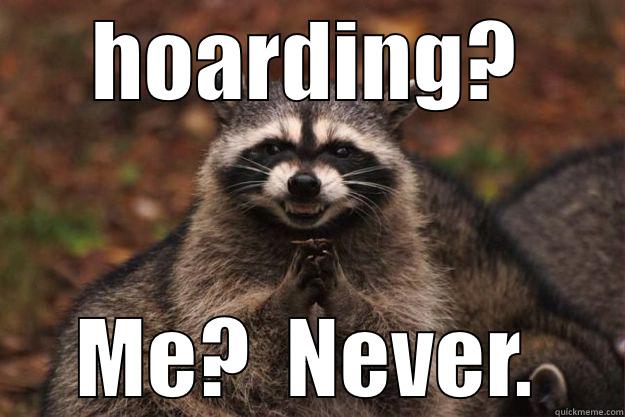 HOARDING? ME?  NEVER. Evil Plotting Raccoon