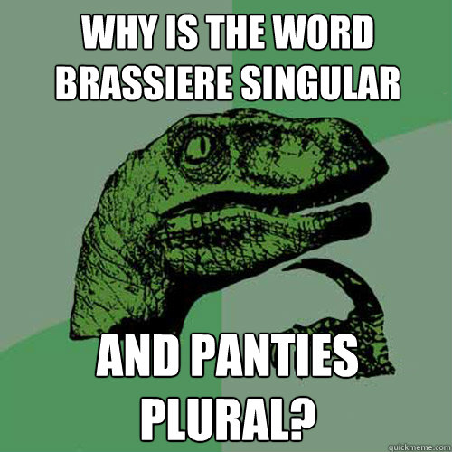 Why is the word brassiere singular   and panties plural?  Philosoraptor