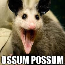 OSSUM POSSUM - OSSUM POSSUM  OSSUMPOSSUM