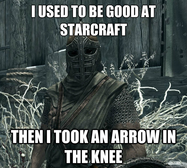 i used to be good at starcraft then i took an arrow in the knee - i used to be good at starcraft then i took an arrow in the knee  Skyrim Guard