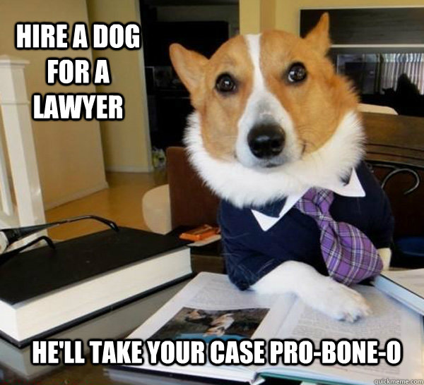 Hire a dog for a lawyer He'll take your case pro-bone-o  Lawyer Dog