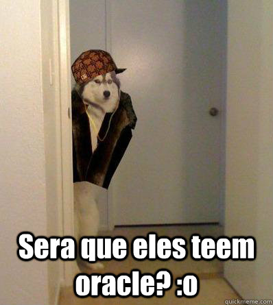  Sera que eles teem oracle? :o  Scumbag dog