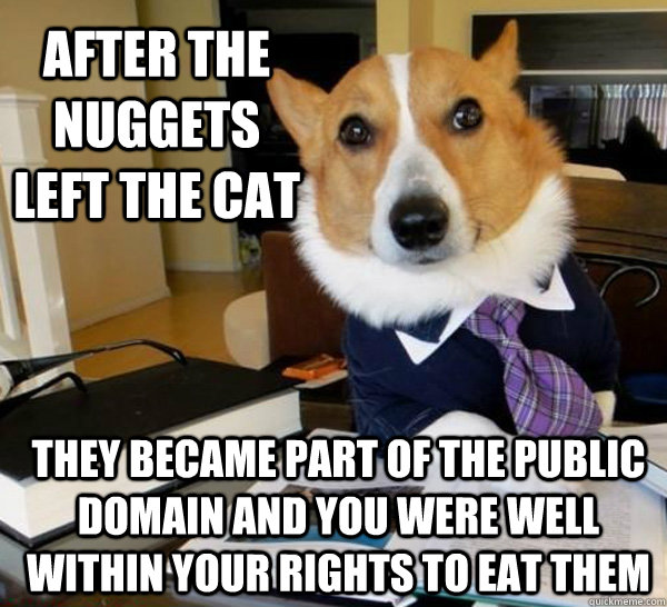 After the nuggets left the cat They became part of the public domain and you were well within your rights to eat them  Lawyer Dog