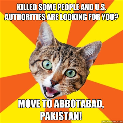 Killed some people and U.S. authorities are looking for you? Move to Abbotabad, Pakistan!  Bad Advice Cat