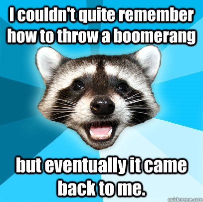 I couldn't quite remember how to throw a boomerang but eventually it came back to me.  Lame Pun Coon