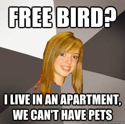 Free bird? i live in an apartment, we can't have pets  Musically Oblivious 8th Grader