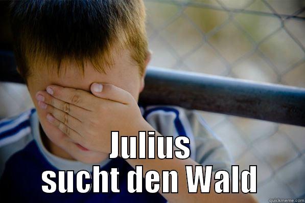  JULIUS SUCHT DEN WALD Confession kid