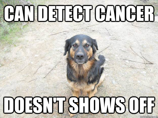 can detect cancer doesn't shows off - can detect cancer doesn't shows off  Good Guy Dog