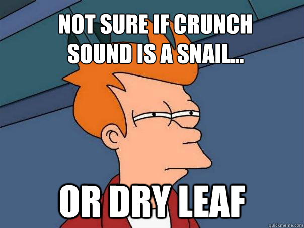 Not sure if crunch
sound is a snail... Or dry leaf  Futurama Fry