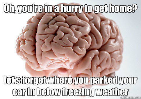 Oh, you're in a hurry to get home? let's forget where you parked your car in below freezing weather   Scumbag Brain