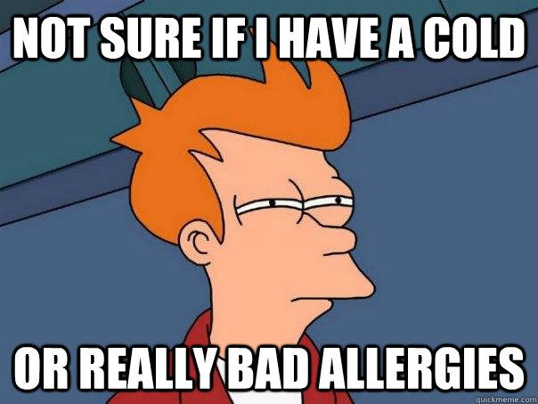 Not sure if i have a cold or really bad allergies  Futurama Fry