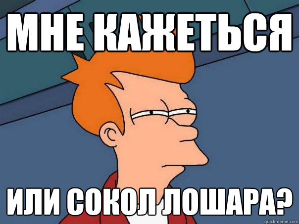 Мне кажеться  или сокол лошара?  Futurama Fry