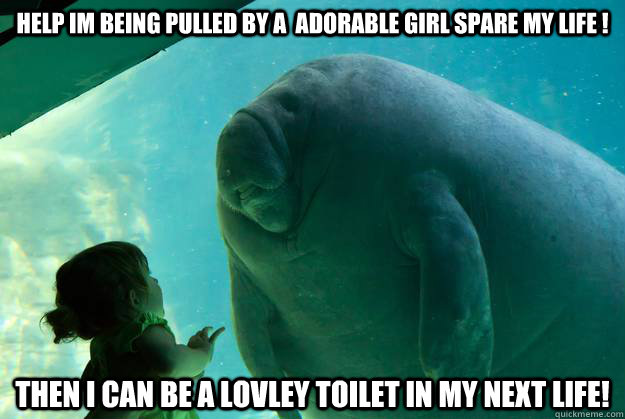 help im being pulled by a  adorable girl spare my life ! then i can be a lovley toilet in my next life!  - help im being pulled by a  adorable girl spare my life ! then i can be a lovley toilet in my next life!   Overlord Manatee