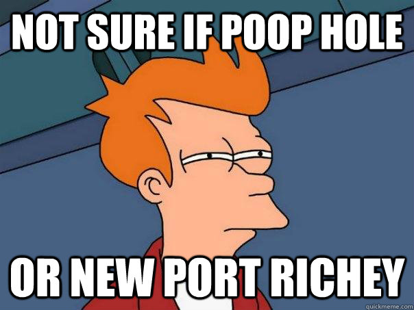 not sure if poop hole or new port richey  Futurama Fry