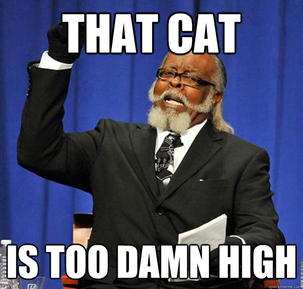 That cat Is too damn high - That cat Is too damn high  Jimmy McMillan