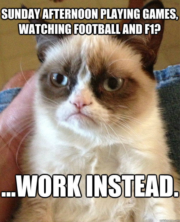 Sunday afternoon playing games, watching football and F1? ...work instead.  Grumpy Cat