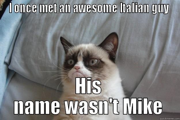 I ONCE MET AN AWESOME ITALIAN GUY HIS NAME WASN'T MIKE Grumpy Cat