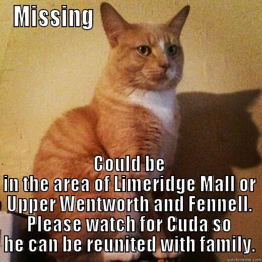 My name is Cuda and I'm lost - MISSING                                     COULD BE IN THE AREA OF LIMERIDGE MALL OR UPPER WENTWORTH AND FENNELL. PLEASE WATCH FOR CUDA SO HE CAN BE REUNITED WITH FAMILY. Misc