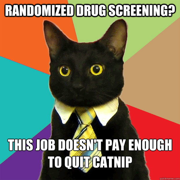 randomized drug screening? this job doesn't pay enough to quit catnip  Business Cat