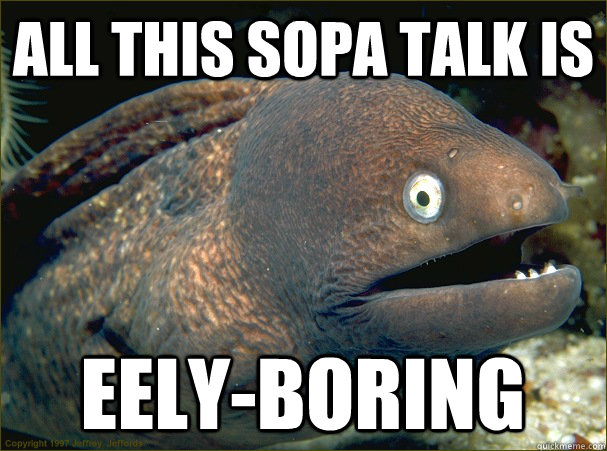 All this sopa talk is  Eely-boring  Bad Joke Eel