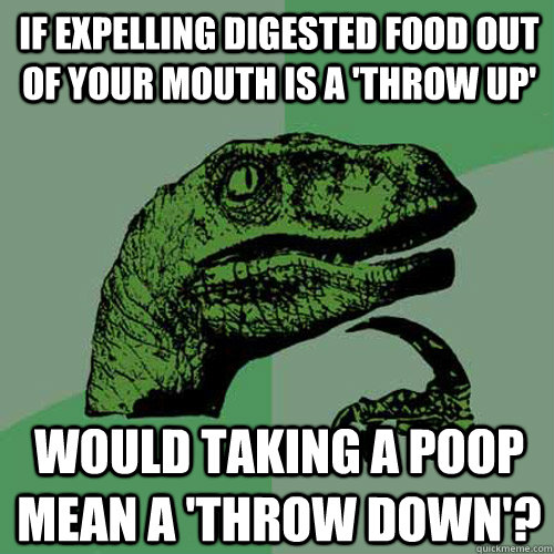 If expelling digested food out of your mouth is a 'throw up' would taking a poop mean a 'throw down'?  Philosoraptor