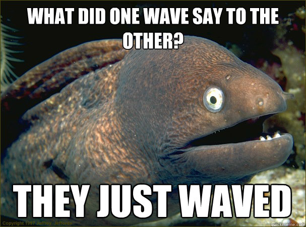 what-did-one-wave-say-to-the-other-they-just-waved-bad-joke-eel