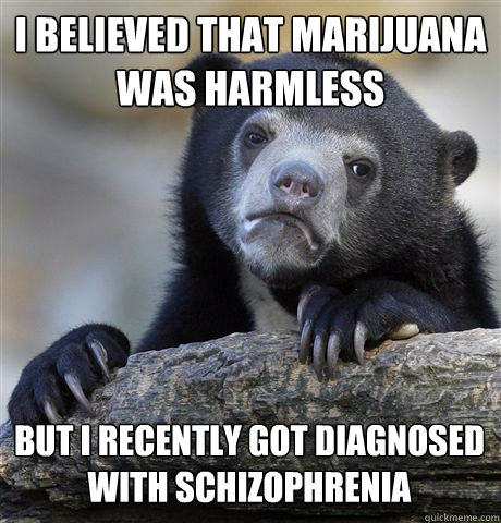 I believed that marijuana was harmless But i recently got diagnosed with schizophrenia  Confession Bear