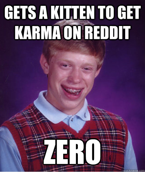 Gets a kitten to get karma on reddit zero - Gets a kitten to get karma on reddit zero  Bad Luck Brian