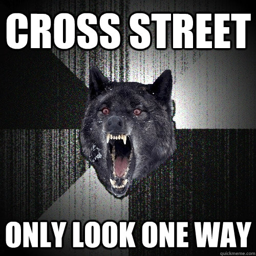 cross street only look one way  - cross street only look one way   Insanity Wolf