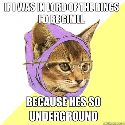 If I was in lord of the rings i'd be gimli. because hes so underground  Hipster Kitty