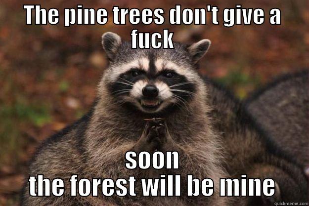 THE PINE TREES DON'T GIVE A FUCK SOON THE FOREST WILL BE MINE Evil Plotting Raccoon