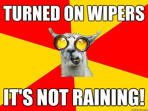 Turned on Wipers It's not raining! - Turned on Wipers It's not raining!  Learner Driver Llama