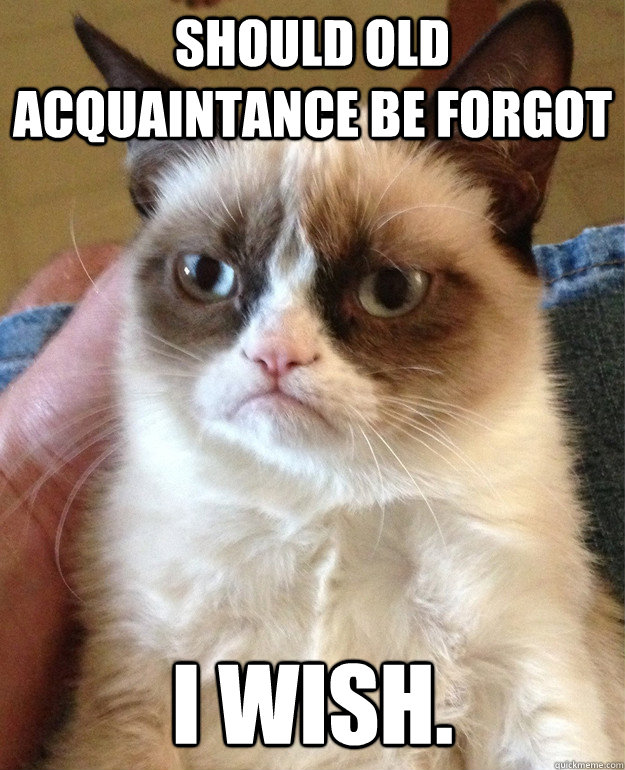 Should Old Acquaintance be forgot i wish.  Grumpy Cat