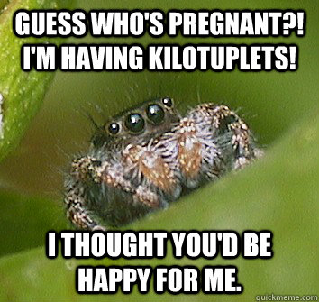 Guess who's pregnant?! I'm having kilotuplets! i thought you'd be happy for me. - Guess who's pregnant?! I'm having kilotuplets! i thought you'd be happy for me.  Misunderstood Spider