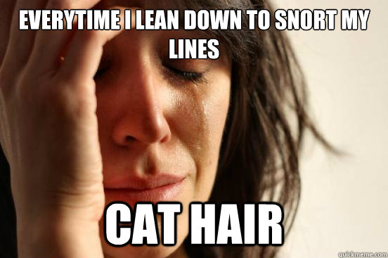 everytime i lean down to snort my lines cat hair - everytime i lean down to snort my lines cat hair  First World Problems