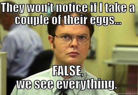THEY WON'T NOTICE IF I TAKE A COUPLE OF THEIR EGGS... FALSE, WE SEE EVERYTHING.  Schrute