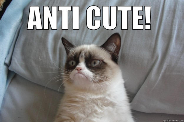 hate the cuteness - ANTI CUTE!  Grumpy Cat