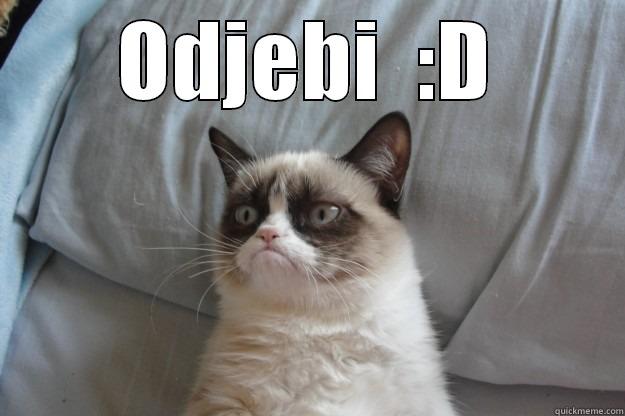 ODJEBI  :D  Grumpy Cat