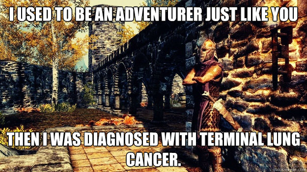 I used to be an adventurer just like you Then I was diagnosed with terminal lung cancer.  skyrim