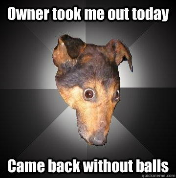 Owner took me out today Came back without balls  Depression Dog