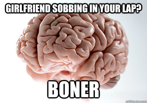 Girlfriend sobbing in your lap? Boner  Scumbag Brain