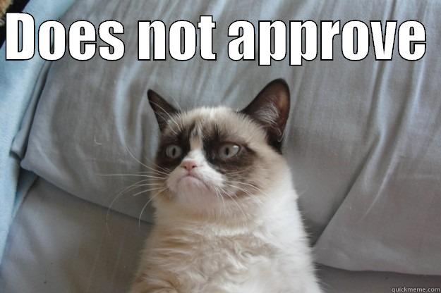DOES NOT APPROVE   Grumpy Cat