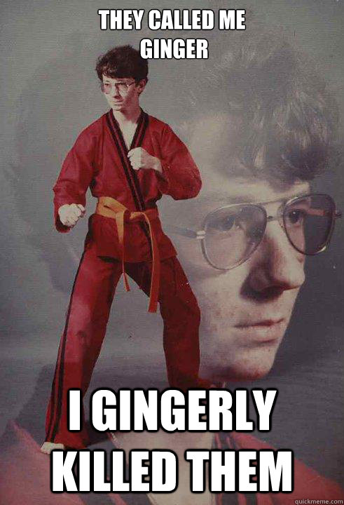 They called me 
 ginger I gingerly killed them  Karate Kyle